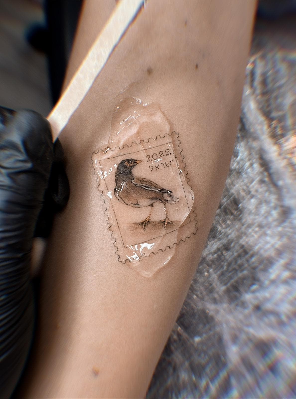 Татуировка тонкая линия · работа 48 · Александра, Kraska Tattoo, Ришон-ле-Цион